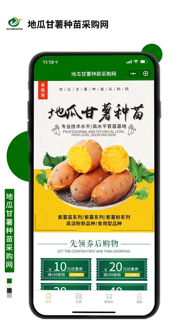 地瓜甘薯種苗采購網